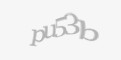 Защитный код
