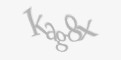 Защитный код