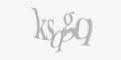 Захисний код